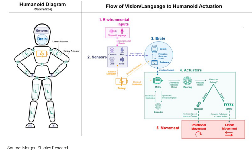 The $3 Trillion Question: Are Humanoid Robots the Answer to the Global Worker Shortage?